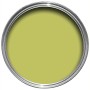 Farrow & Ball Paint 5L Flat Eggshell Acid Drop No.9908